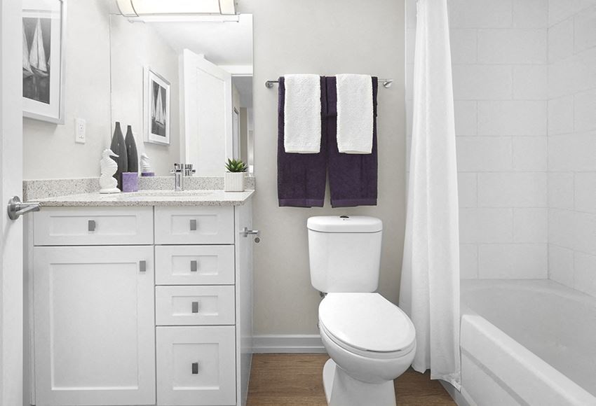 Panorama Apartments in Edmonton, AB bathroom with upgraded cabinetry - Photo Gallery