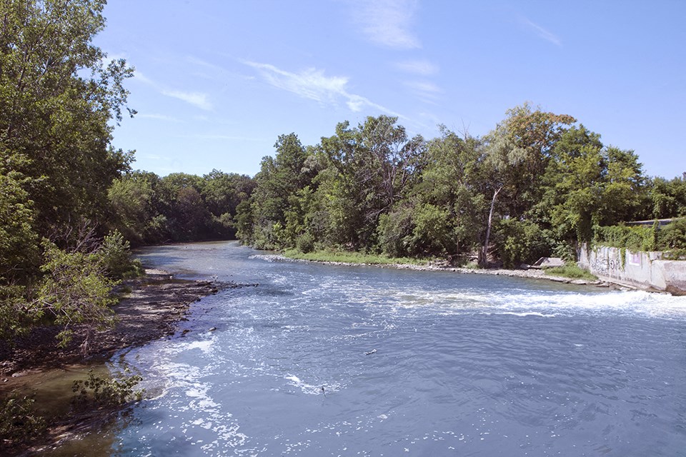 Image of the Thames River located walking distance to Park Towers Apartments in London, ON