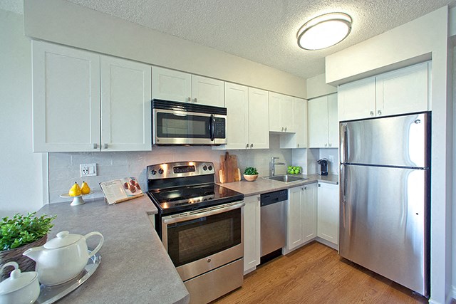 Contemporary kitchen with white cabinetry and stainless steel appliances in Whitby, ON