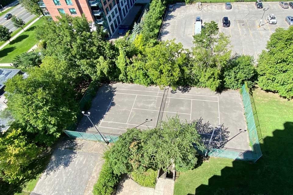 Royal Rose two fenced