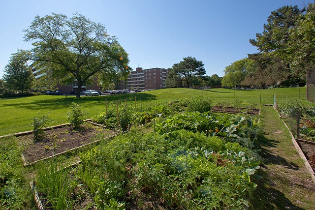 St. Lawrence Village in St. Catharines, ON Community garden on-site