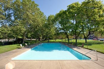 a swimming pool with trees around it