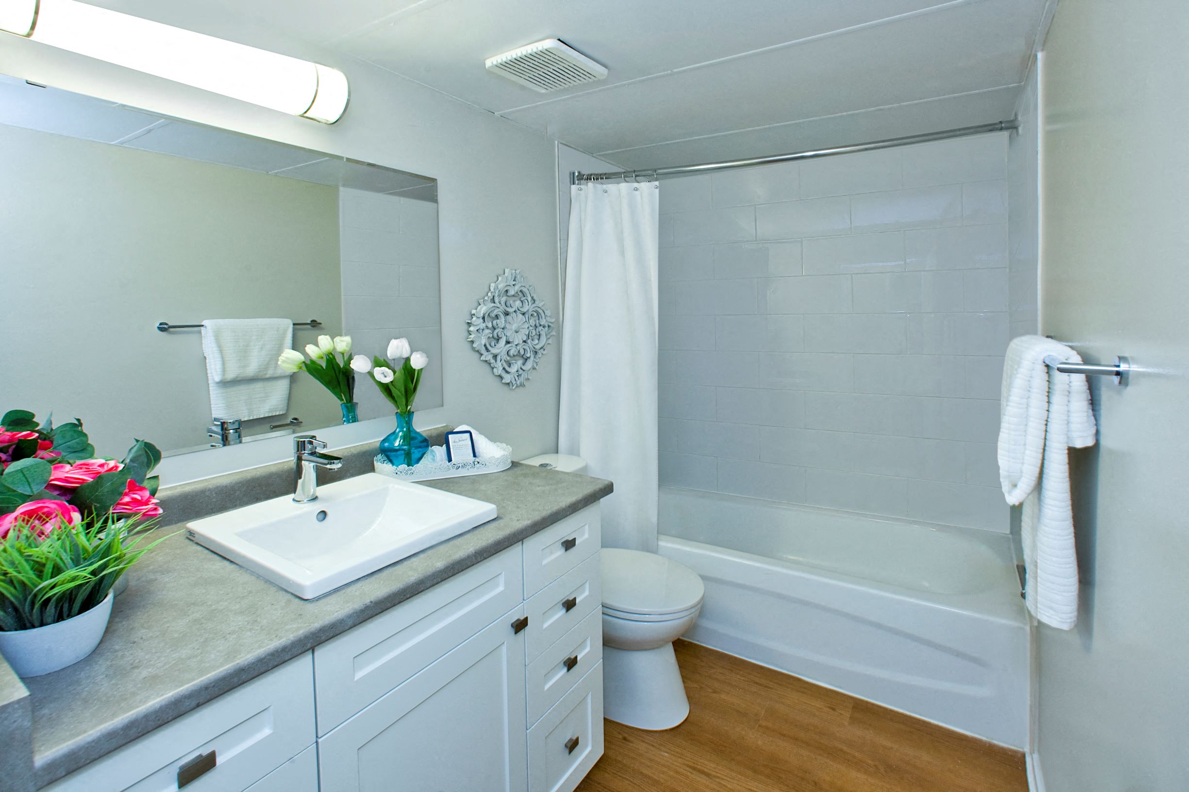Springbank Apartments in London, ON bathroom with full sized bathtub