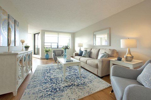 A living room with a blue rug and a grey couch.