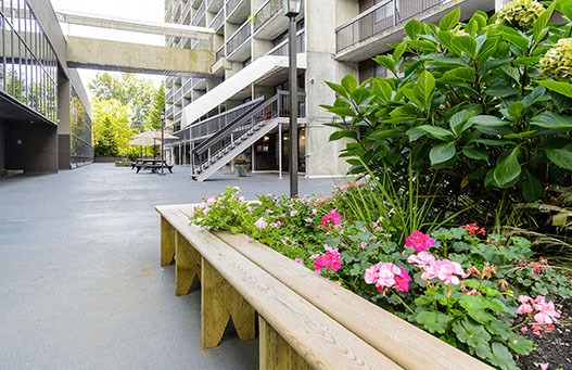 Surrey Village in Surrey, BC landscape on property grounds