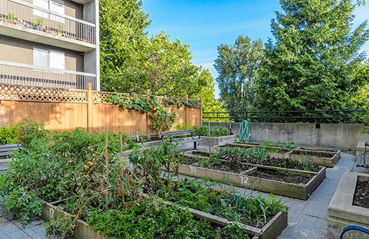 Surrey Village in Surrey, BC patio and community garden for resident use