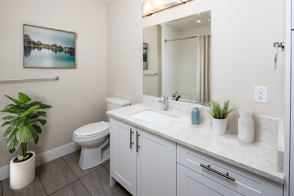 a bathroom with a sink and a toilet and a mirror