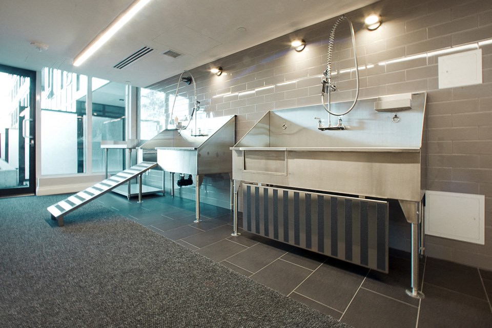 The Taunton in Oakville, ON pet spa with ramp and retractable shower heads