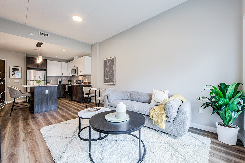 A modern living room with a grey couch and two round coffee tables with a kitchen in the background in a 2 bedroom 2 bathroom variation C layout at Vale Station Apartments in Waterloo, Ontario