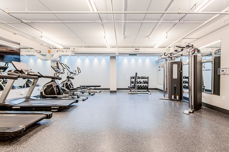 Gym with treadmills and elliptical cardio machines and weight lifting equipment at Vale Station Apartments in Waterloo, Ontario