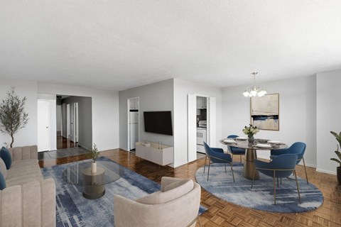 A modern living room with a blue rug and a white sofa.