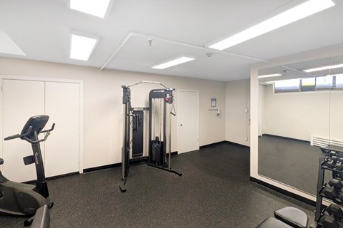 A gym room with a treadmill, a weight machine, and a squat rack.