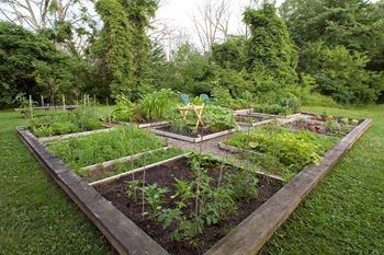 Squire Court Apartments in St. Catharines, ON community garden