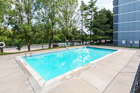 A small pool surrounded by a fence and trees.