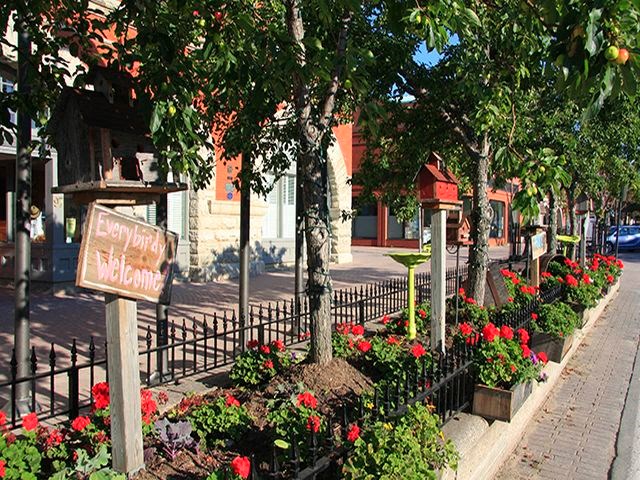 Bird friendly landscaping with flowers and trees along a path in Collingwood, ON