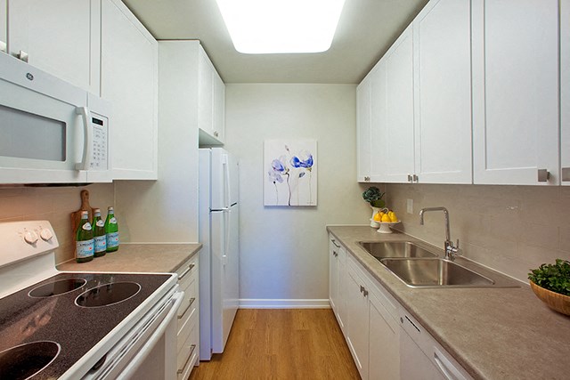 Mountain View Modern Kitchen facing a painting of a flower. On both sides are counter tops and cupboards, with a stove, sink, and fridge in view in Collingwood, ON