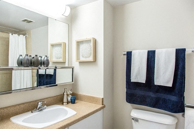 Macdonald Estates in Edmonton, AB bathroom with cabinets for storage