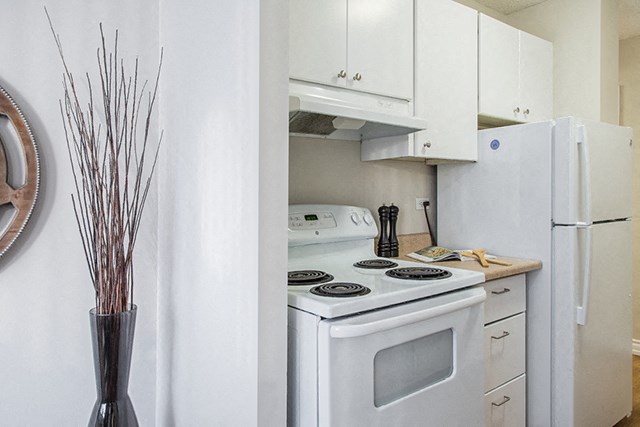 Macdonald Estates in Edmonton, AB kitchen with plenty of cabinets for storage