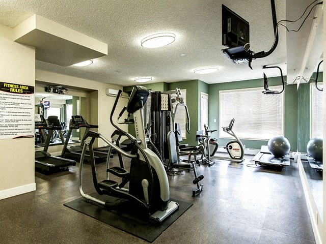 A gym with a variety of equipment including treadmills, elliptical machines, and weights.