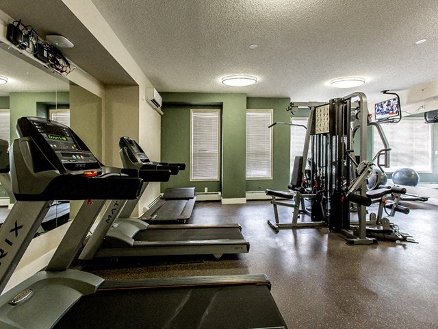 A gym with treadmills, weights, and exercise equipment.