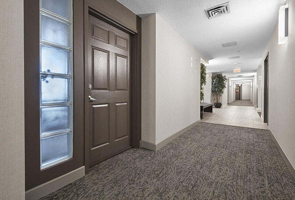 A hallway with a carpeted floor, a door, and a plant.