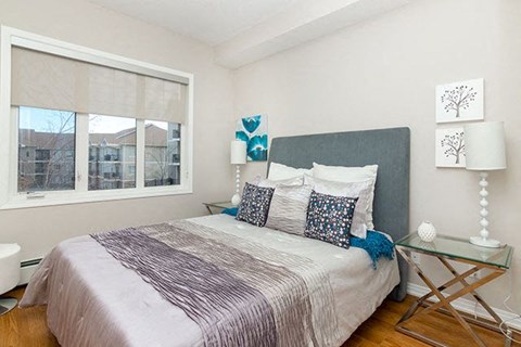 Beacon Heights in Calgary, AB brightly lit bedroom with large window