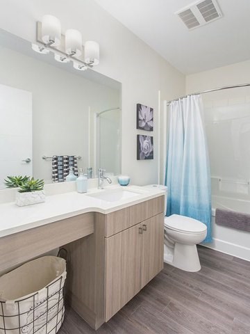 Lynn Creek in North Vancouver, BC bathroom with luxury vinyl flooring