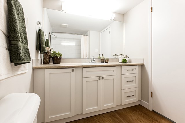 Secord House in Edmonton, AB bathroom with upgraded cabinetry