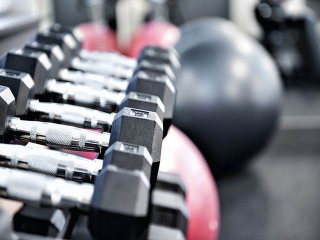 a row of dumbbells in a gym