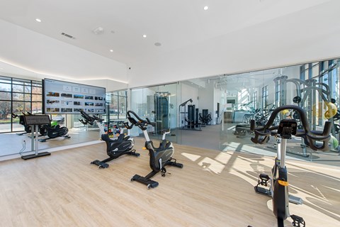 A gym with treadmills, stationary bikes, and other exercise equipment.