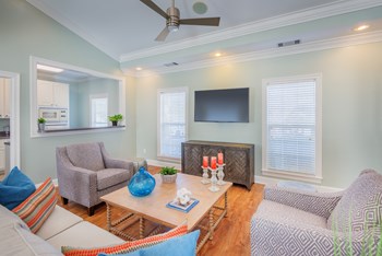 clubroom with tv - Photo Gallery 13