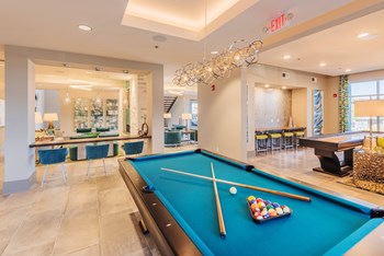 Billiards with Shuffle Board area, Cyber Cafe - Photo Gallery 6