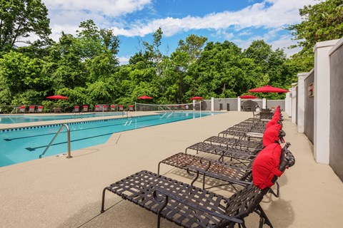 a row of benches next to a swimming pool