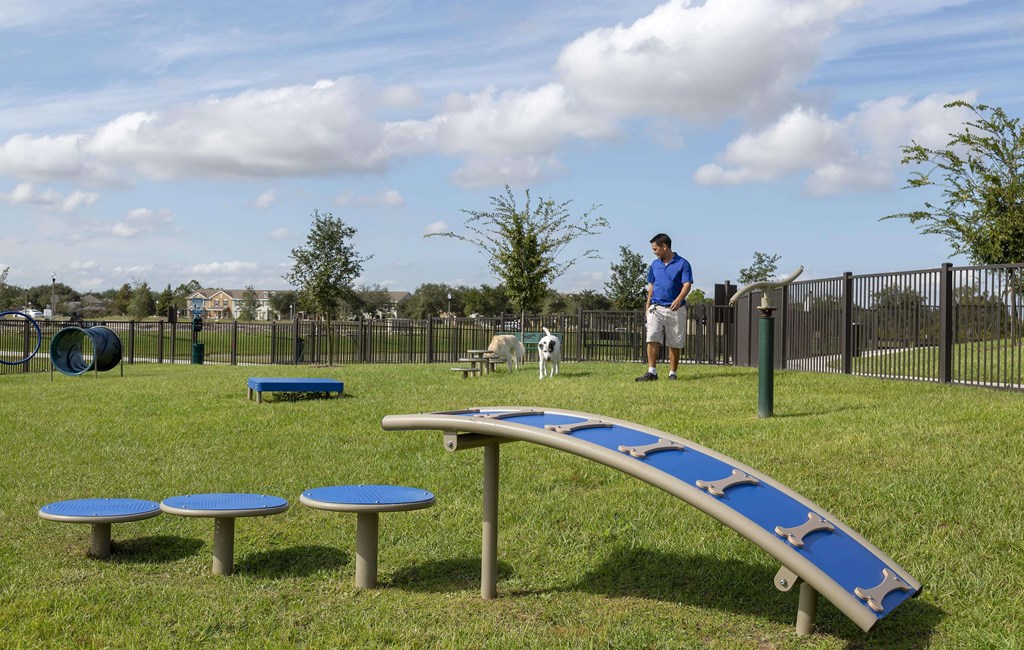 Dog Park with agility course