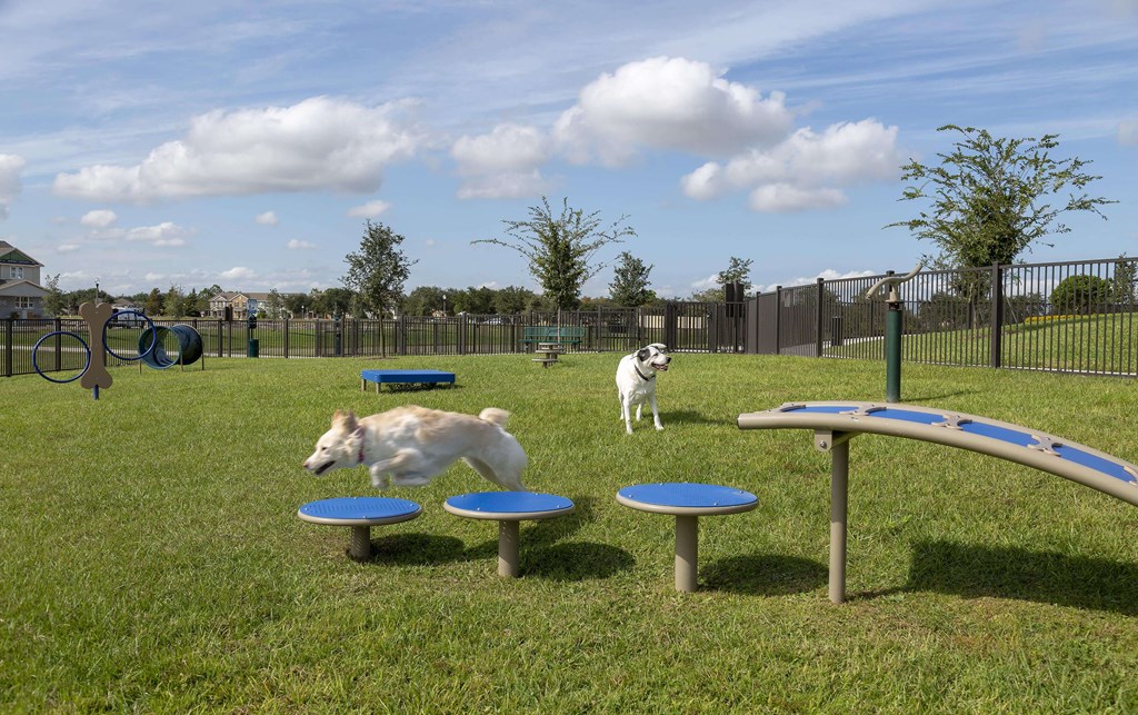 Dog Park with agility course