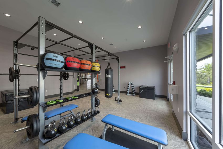 Gym - Photo Gallery