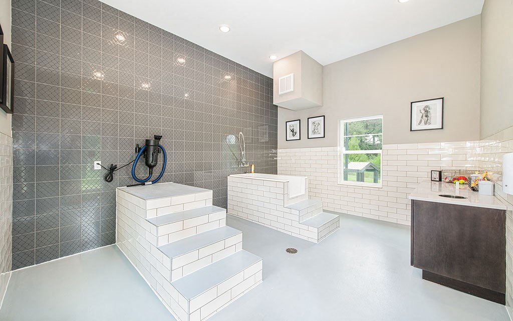 Pet Wash Station Pet Spa