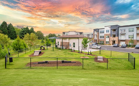 Pet park with agility course Dog Park