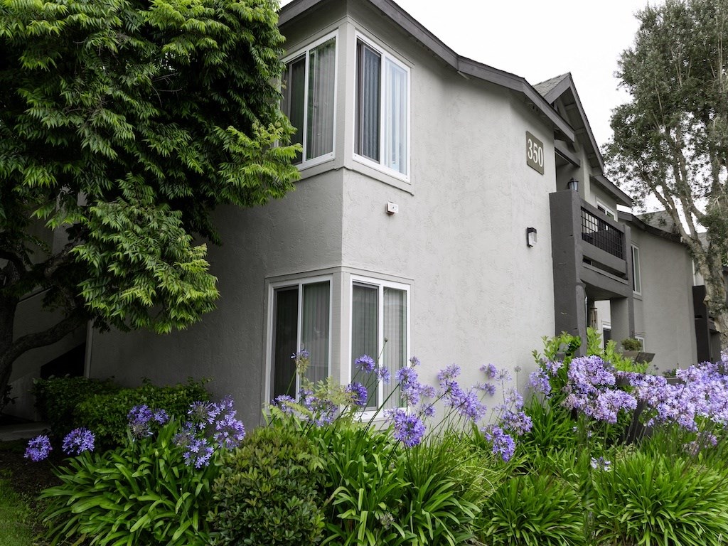 Beautiful Landscape at Canyon Club Apartments