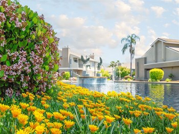 Beautiful Pond With Fountain Beautiful Pond With Fountain at Heron Pointe Apartments & Townhomes, Fresno, California - Photo Gallery 2