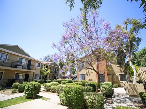 Creekside Villas Apartments