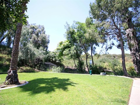 Creekside Villas Apartments