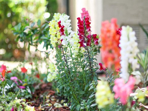 Creekside Villas Apartments