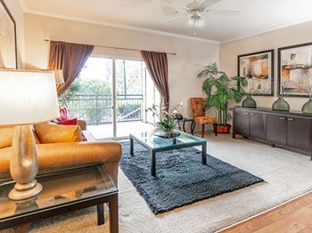 Large Decorated Living Room With Natural Light Large Decorated Living Room With Natural Light at Indigo Creek Apartments, Colorado - Photo Gallery 6