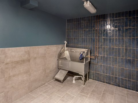 Dog Wash at Maye House Apartments