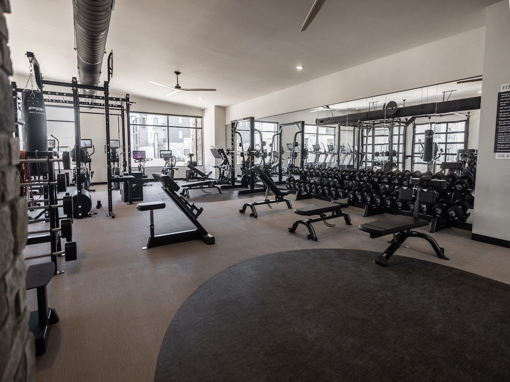 A gym with a variety of equipment including weights and a bench press.