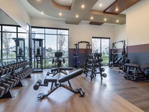 Free Weights and Machines in Gym at Amara