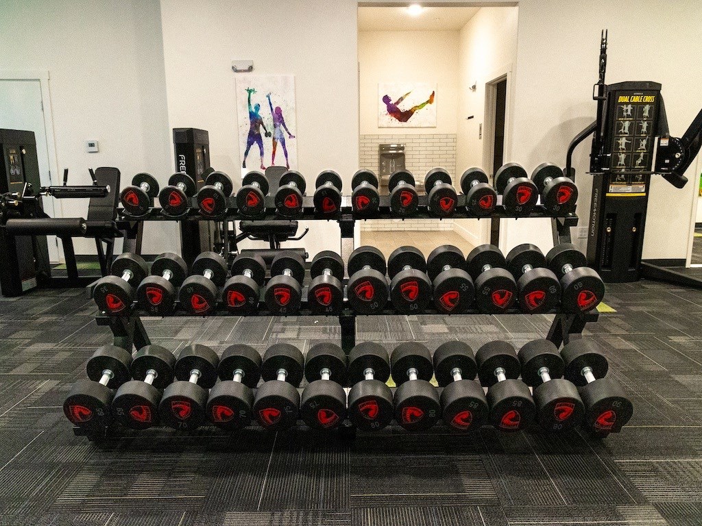 Free Weights in Gym at Ridge View Apartments (MA)