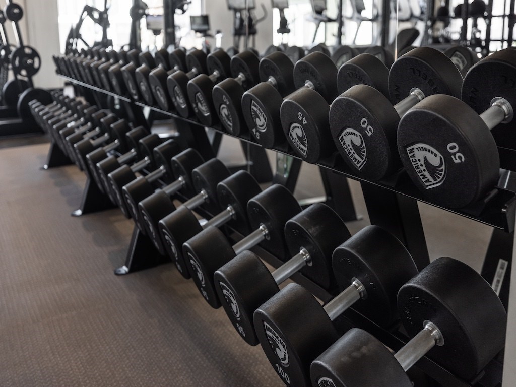 A row of black dumbbells with the number 5 on them are lined up on a rack.