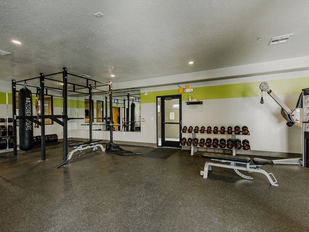 Free Weights in Gym at Falls at Riverwoods